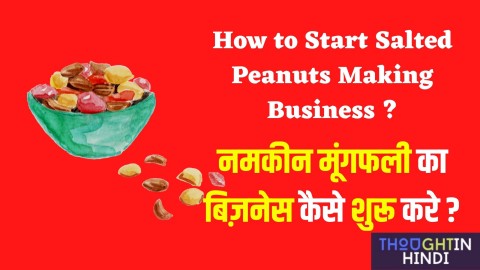 नमकीन मूंगफली का बिज़नेस कैसे शुरू करे ? How to Start Salted Peanuts Making Business ?