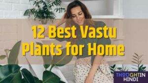 12 Best Vastu Plants for Home | सुखमय जीवन के लिए लगाए ये शुभ वास्तु पौधे